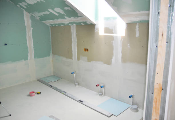 Best Attic Mold Removal  in Hilton, NY