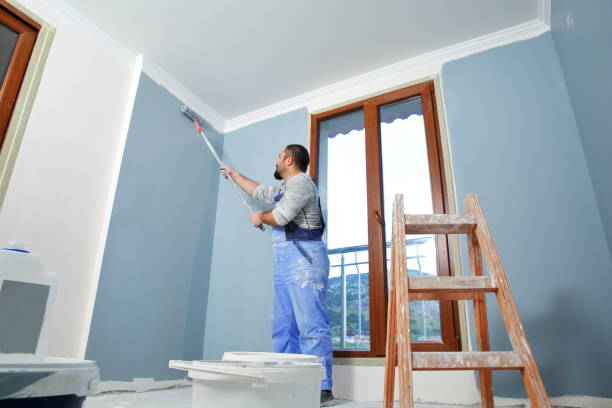 Best Comprehensive Air Testing for Mold Contaminants  in Hilton, NY