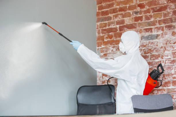 Best Real Estate Mold Inspection  in Hilton, NY