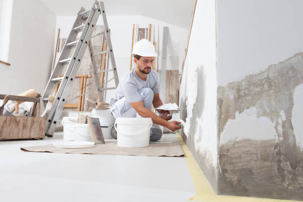 Best Black Mold Removal  in Hilton, NY