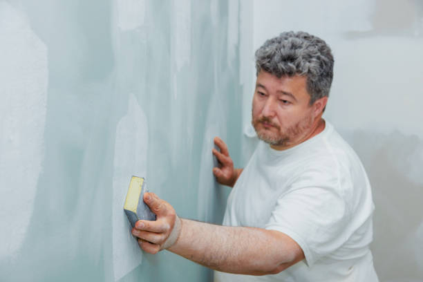 Best Forensic Mold Investigation  in Hilton, NY