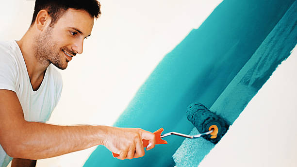 Best Mold Documentation for Insurance Claims  in Hilton, NY