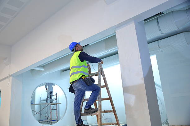 Best Industrial Mold Remediation  in Hilton, NY