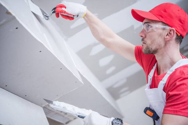 Mold Removal for HVAC Installations in Hilton, NY